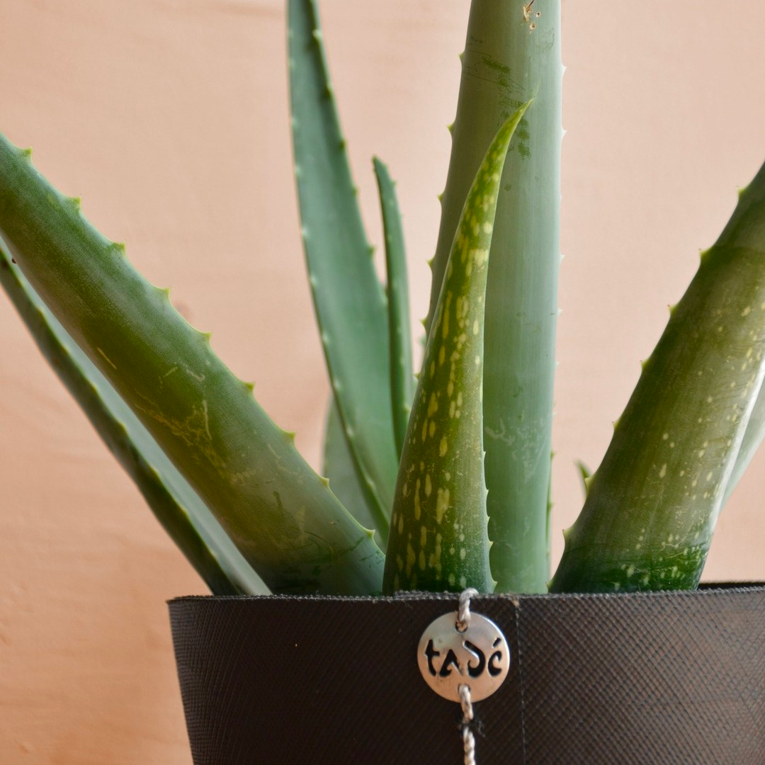 Set van 3 plantenpotten · 100% gerecycled · Tadé